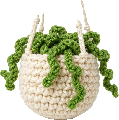 assets__products__hanging-plant-optimized-v1